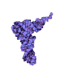 tRNA molecule
